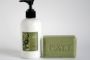 Italian Olive Oil Soap and Lotion