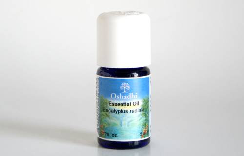 Eucalyptus Essential Oil