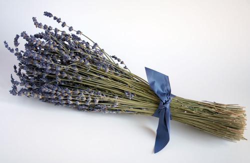 French Lavender Bouquet