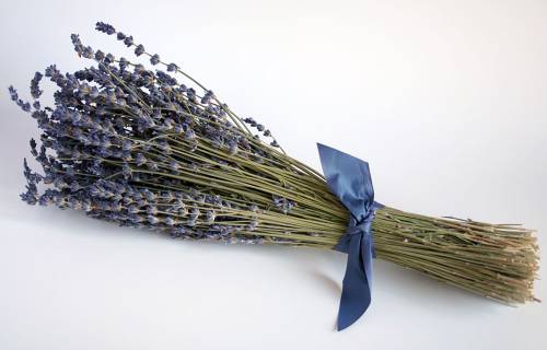 French Lavender Bouquet