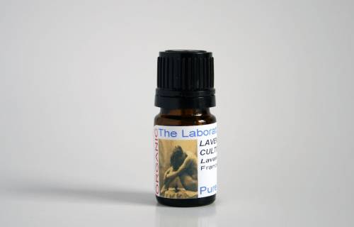 Lavender Essential Oil - Organic