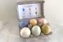 French Soap Eggs